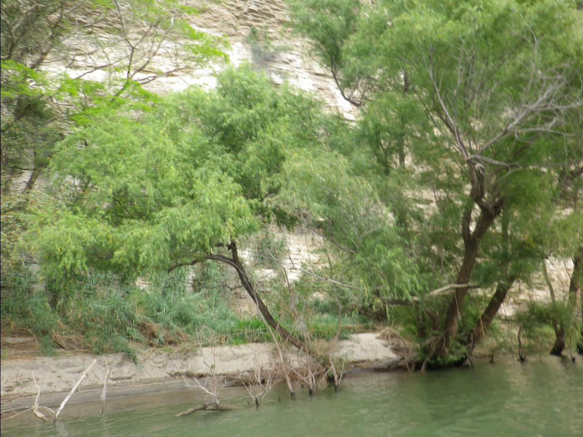 Sumidero Canyon near Tuxtla Gutierrez024